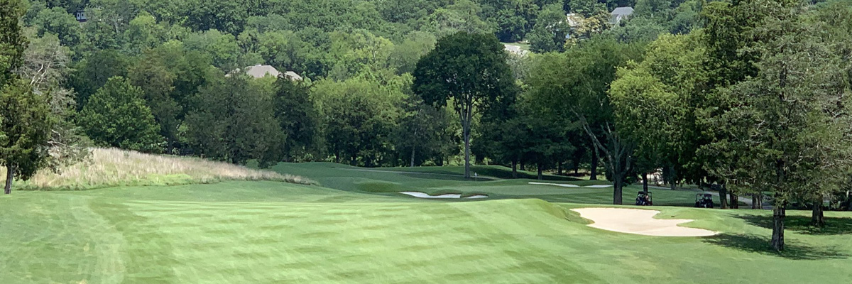 golf cart tracks
